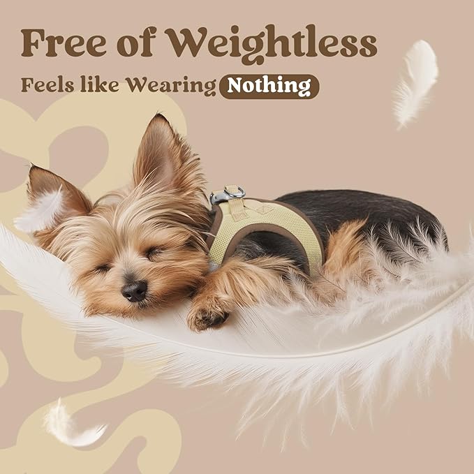 rabbitgoo Small Dog Harness, Step-in Soft Mesh Puppy Vest with Safety Buckle, Breathable Reflective Pet Harness for Small Medium Dogs, Brown & Beige L