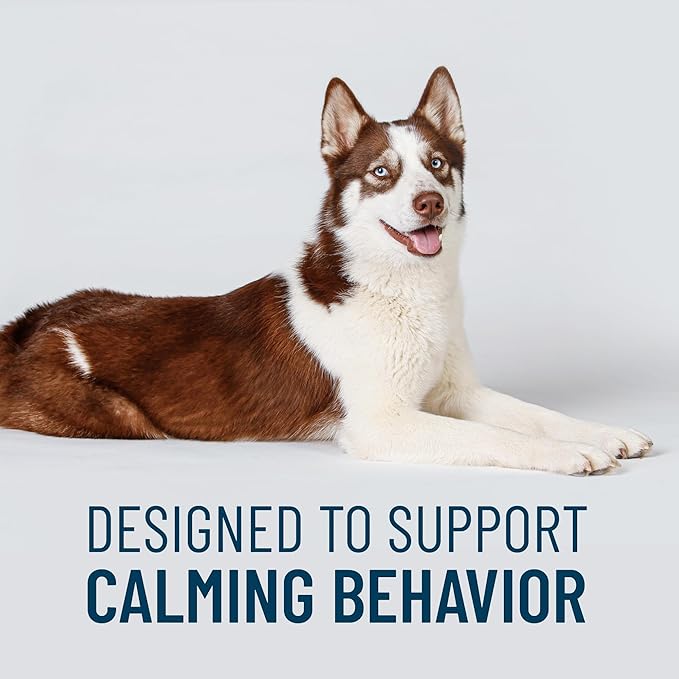Nutramax Solliquin Calming Support for Dogs, Behavioral Health Supplement with L-Theanine, Magnolia/Phellodendron, and Whey Protein Concentrate, Soft Chews, 75 Count