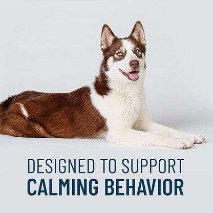 Nutramax Solliquin Calming Support for Dogs, Behavioral Health Supplement with L-Theanine, Magnolia/Phellodendron, and Whey Protein Concentrate, Soft Chews, 75 Count