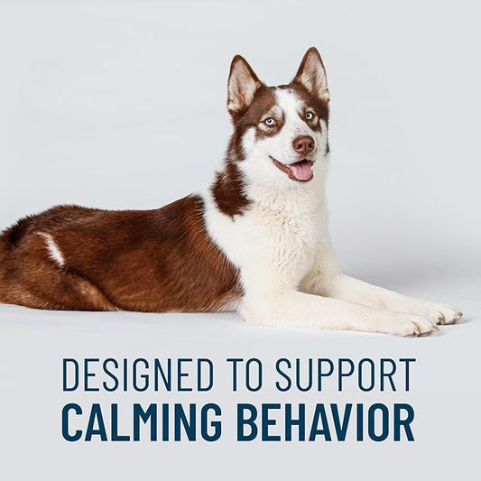 Nutramax Solliquin Calming Support for Dogs, Behavioral Health Supplement with L-Theanine, Magnolia/Phellodendron, and Whey Protein Concentrate, Soft Chews, 75 Count