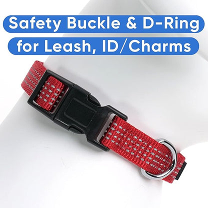 Pawtitas Reflective Dog Collar Adjustable Dog Collars for Small Dogs Puppy Collar Small Dog Collar Red Dog Collar