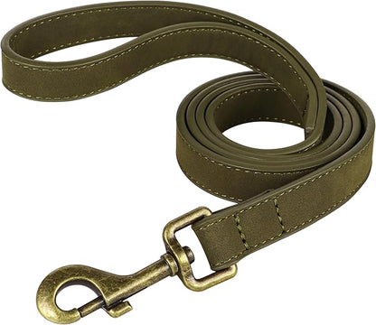 Didog PU Leather Dog Leash, Colorful Dog Leash 4ft, Strong and Durable Faux Leather Lead, Walking and Training Lead for Small Medium Dogs,Dark Green