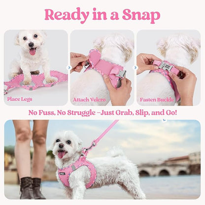 rabbitgoo Dog Harness Small Medium Sized and Leash Set, Step in Soft Light Puppy Vest, Breathable Mesh Pet Harness, Reflective for Safe Easy Walking, Pink & Plaid Trim L