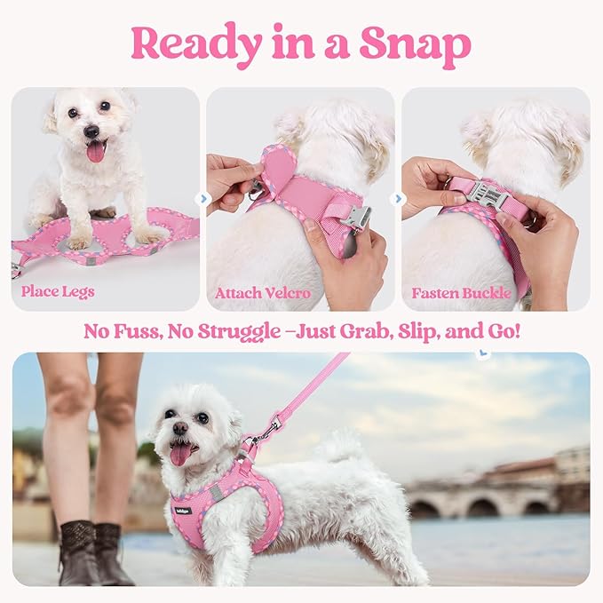 rabbitgoo Dog Harness Small Sized and Leash Set, Step in Soft Light Puppy Vest, Breathable Mesh Pet Harness, Reflective for Safe Easy Walking, Pink & Plaid Trim M