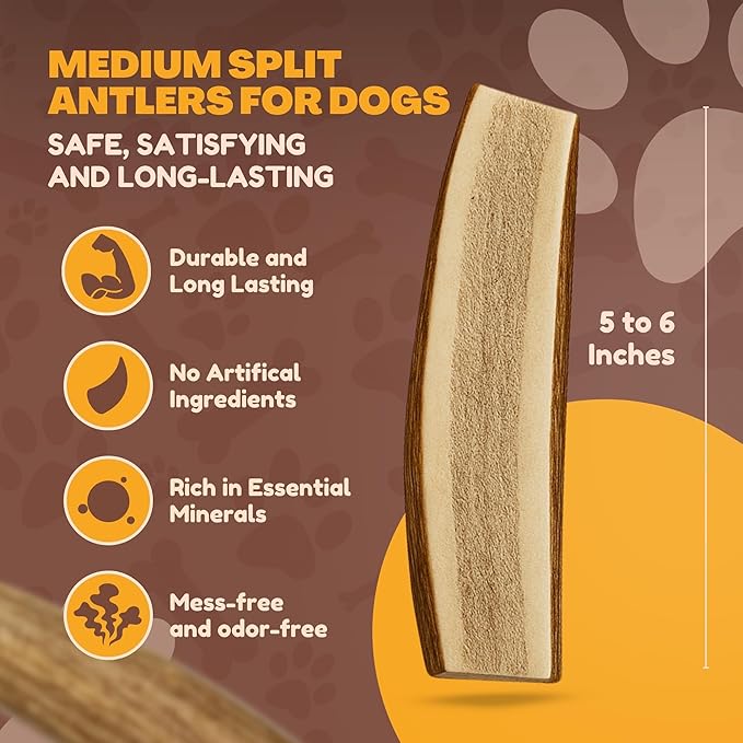 WhiteTail Naturals Premium Split Elk & Red Deer Antlers for Dogs (6 Pack) Naturally Shed Elk Antler Chews with Exposed Marrow – Safe & Mess-Free for Medium to Large Breeds