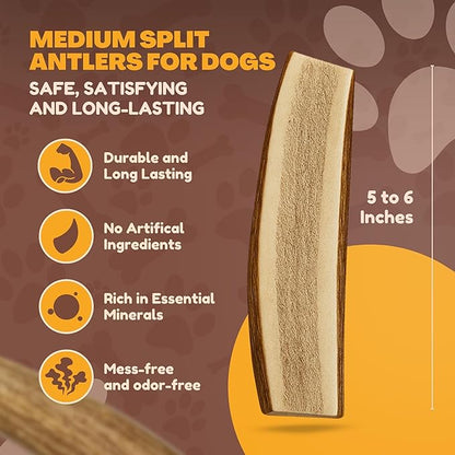 WhiteTail Naturals Premium Split Elk & Red Deer Antlers for Dogs (6 Pack) Naturally Shed Elk Antler Chews with Exposed Marrow – Safe & Mess-Free for Medium to Large Breeds
