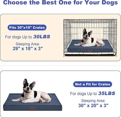 Tail Stories Outdoor Waterproof Dog Bed, Orthopedic Dog Bed for Medium Dogs 30x20 Inch, Egg Crate Foam Pet Bed with Washable Removable Oxford Cooling Cover, Navy