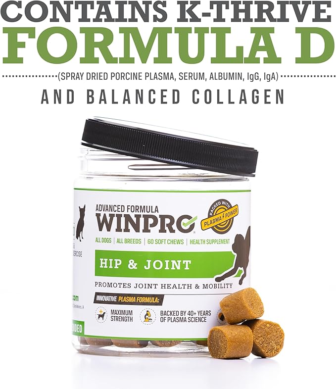 WINPRO Hip & Joint Supplement for Dogs - Plasma Powered Soft Chews for Joint Health & Mobility – Fast-Acting with Collagen & Natural Ingredients for Dogs of All Breeds – 60 Chews