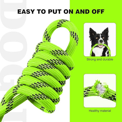 lynxking Slip Lead Dog Leash Reflective, Heavy Duty Comfortable Strong Rope for Large Medium Small Dogs No Pull Pet Training (Light Green, 2PCS Large 1/2in x 6ft)