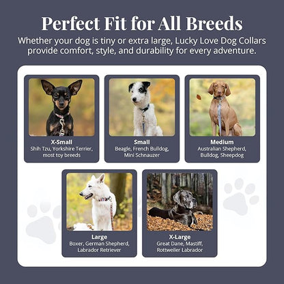 Lucky Love Dog - Adjustable Dog Collar and Leash Set with Easy Click Buckle for Small Dogs, Durable, & Comfortable Collar for Male & Female Dogs, Puppies & Adult Dogs - Zuzu, XS