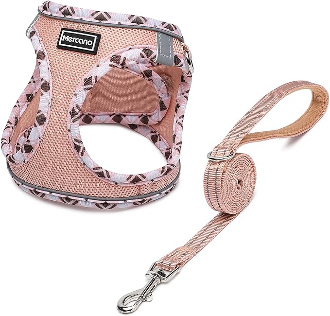 Mercano Soft Mesh Dog Harness and Leash Set, No-Chock Step-in Reflective Breathable Lightweight Easy Walk Vest Harnesses with Safety Buckle for Small Dogs, Cats (Champagne, XXS)