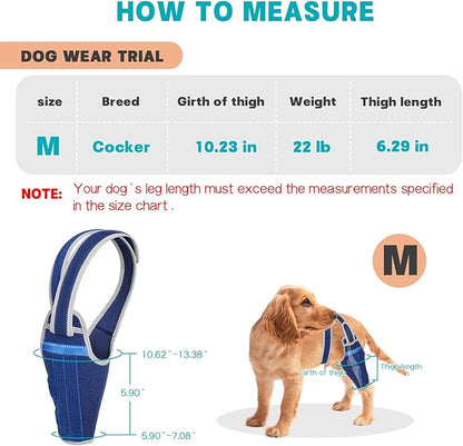 Dog Knee Brace for Torn ACL Hind Leg–Adjustable Support Dog Leg Brace for Back Leg with 2 Stabilizers, Hip Support to Reduces Pain Luxating Patella, Ligament Injuries, CCL (Blue, Left Leg, M)