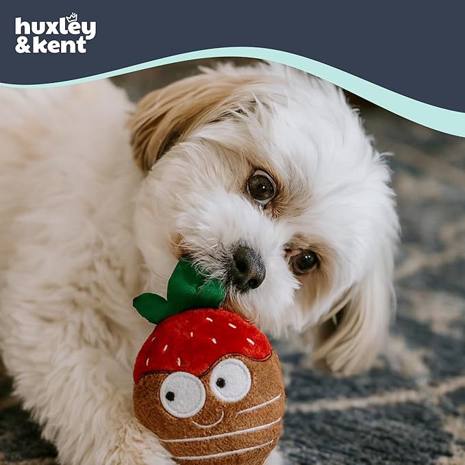 Huxley & Kent Tiny Tuff Plush Dog Toy w/Squeaker - Stuffed Toy for Small Dogs - Cute, Funny & Tough Toy for Fetch & Play - Tiny Tuff Chocolate Covered Strawberry