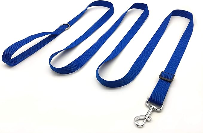 10FT Adjustable Dog Leash, Nylon Dog Leashes for Medium Large Dogs (Blue)