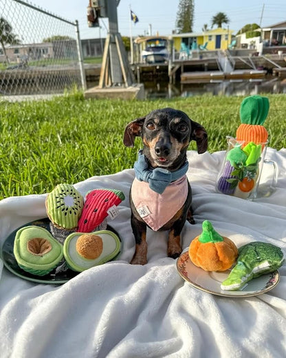 Nocciola Squeaky Fruits Veggies Stuffed Dog Toys Pack- Hide Seek Grocery Basket Crinkle Plush Puppy Toys to Keep Busy, Birthday Pet Supplies Gifts for Small Medium Breeds