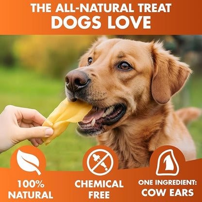 BRUTUS & BARNABY Cow Ears for Dogs – Whole Ears 12 ct, Thick Cut, Grass-Fed Angus Beef, All-Natural No-Rawhide Dog Treat Alternative