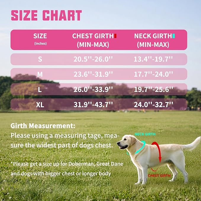 AUROTH Dog Harness and Leash Set, Soft Padded Service Dog Vest with 5.25FT Dog Leash, No Choke, Easy On Pet Vest, Adjustable Reflective No Pull Pet Vest Medium Sized Dog, Easy Walking and Training