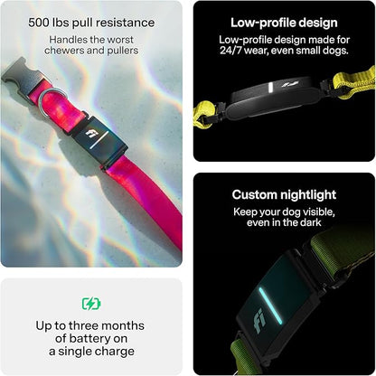 New Fi Series 3+ Smart Dog Tracker Collar [6 Month Membership Included] GPS Tracker for Dogs with Health & Behavior Monitoring, Escape Alerts, Waterproof, LED, Apple Watch Compatible (Gray, Large)