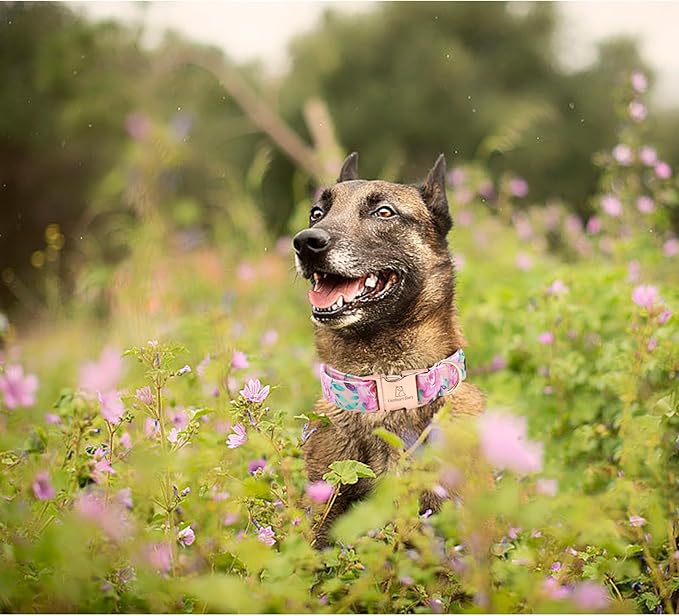 Lionheart glory Floral Rose Print Dog Collar Cute Dog Collars Spring Adjustable Soft Dog Collar Girl Pet Collars for X-Small Small Medium Large Dogs
