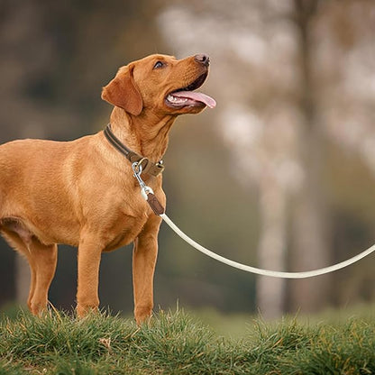 Mile High Life Leather Dog Leash, Heavy Duty Strong Genuine Leather Handle Rope Leash Soft and Comfortable for Small Medium Large Dogs (Cream White, 72 Inch)