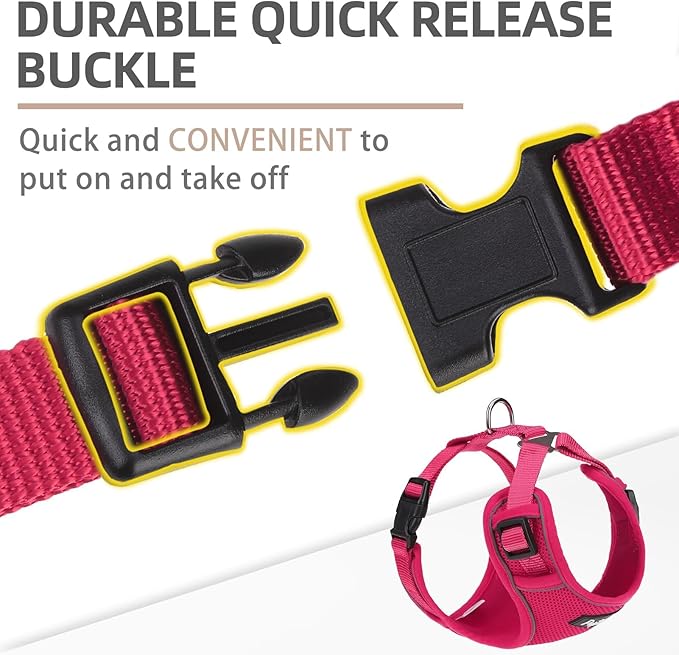 PUPTECK Small Dog Harness and Leash Set, No Pull Adjustable Puppy Cat Harness, Reflective Soft Mesh Pet Vest Small Sized, Fuchsia, S