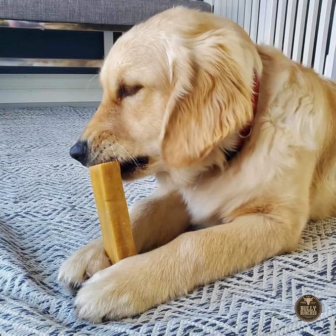 Bully Bunches Large Authentic Yak Cheese Himalayan Chews for Large Dogs & Heavy Chewers - All Natural Dog Treat Dental Chews, Made with Real Yak Milk - Lactose & Rawhide Free (6 Pk)