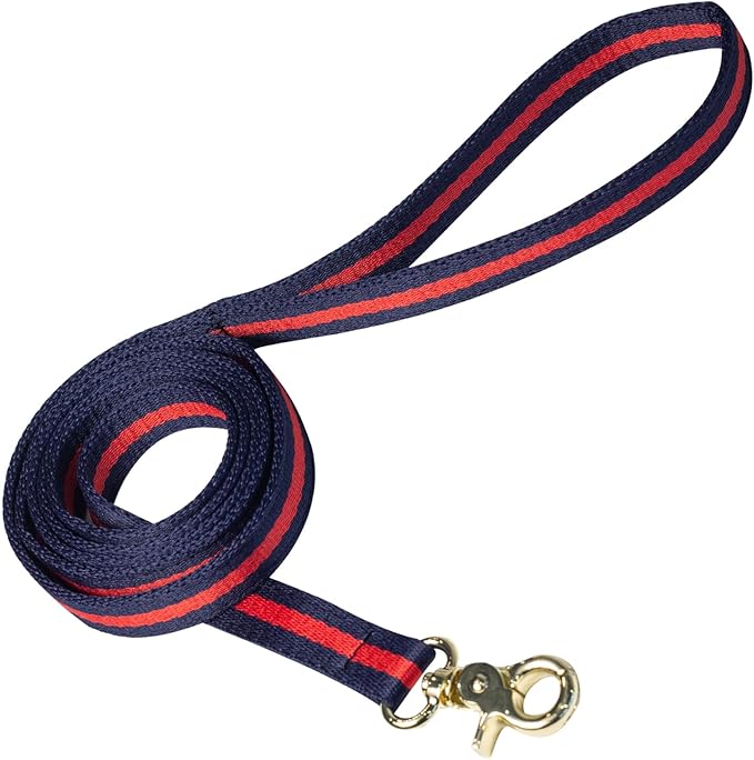 Elegant and Nobility Dog Leash, Comfortable and Durable Pet Leash for Small Medium Big Large Dogs