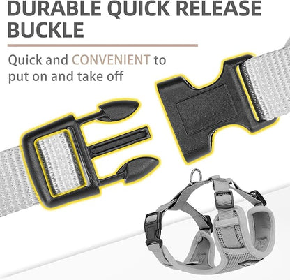 PUPTECK Small Dog Harness and Leash Set, No Pull Adjustable Puppy Cat Harness, Reflective Soft Mesh Pet Vest Small Sized, Grey, XS