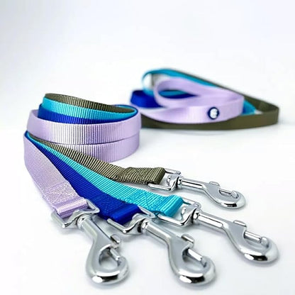 Blueberry Pet Essentials Marina Blue Dog Leash for X-Small -5' * 3/8" Dogs | Heavy Duty Nylon Lead | Lightweight Puppy & Cat Leash for Walking & Training