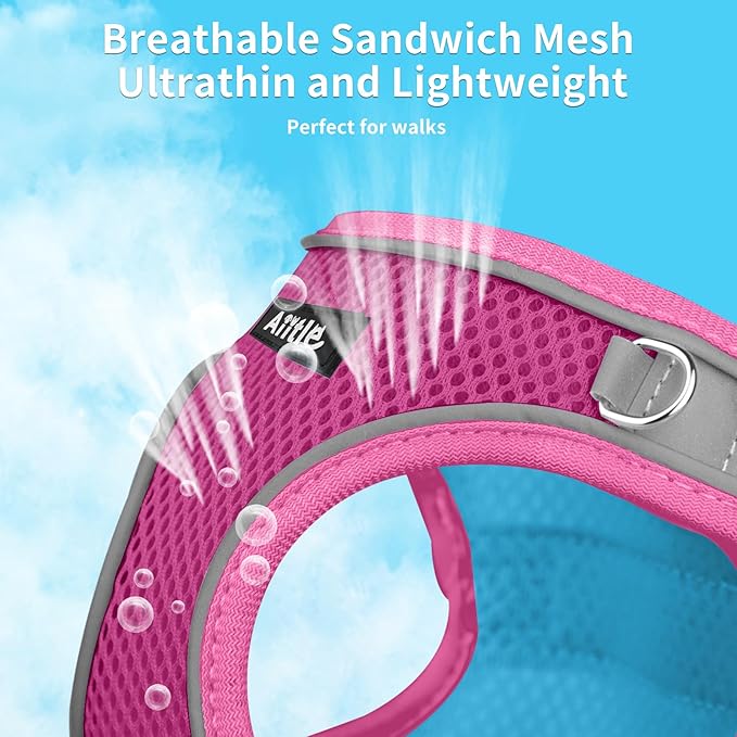 AIITLE Easy Walk Dog Harness and Leash Set - Pet Supply No Pull, Step in Adjustable Dog Harness with Padded Vest for All Weather, Dog Harness No Choke Over, Easy to Put on Medium Dogs Hot Pink L