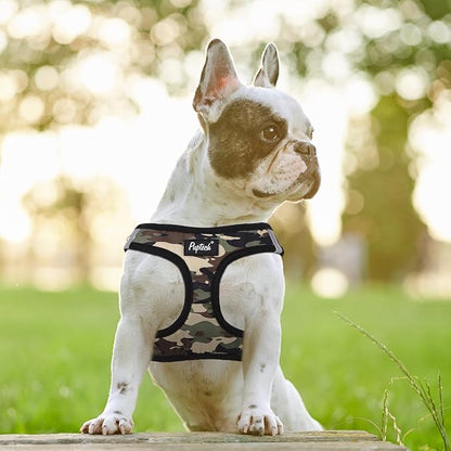 PUPTECK Dog Harness and Leash Set for Small Medium Dogs No Pull Step-in Soft Mesh Puppy Cat Vest Harnesses Reflective at Night, Camouflage, XS