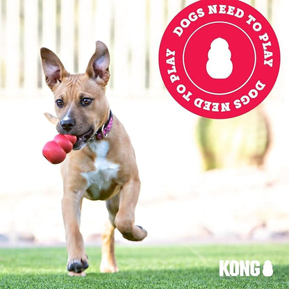 KONG - Extreme Goodie Bone - KONG's Most Durable Natural Rubber Dog Bone for Power Chewers - Black - For Large Dogs