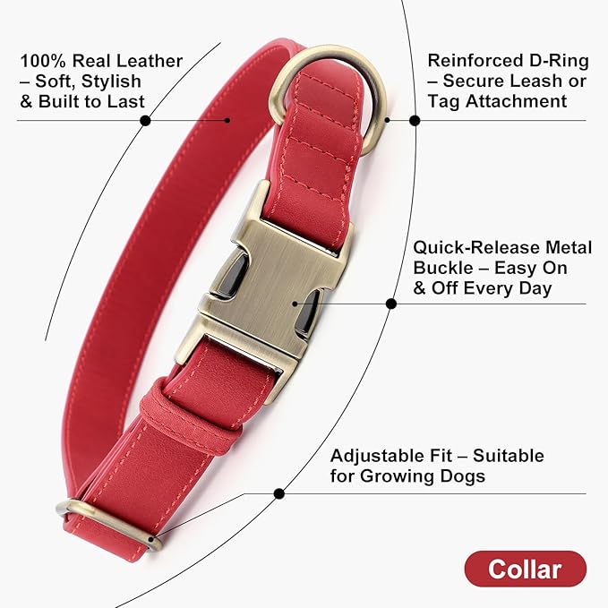 Plutus Pet Genuine Leather Dog Collar – Adjustable Pet Collar with Quick Release Metal Buckle, Soft Real Leather for Small Medium Large Dogs, Heavy Duty & Skin-Friendly (Red, M)