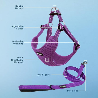 Best Pet Supplies Voyager Adjustable Step-in Flex Breathable Mesh Dog Harness for Small Medium Large Dogs Leash Set (Purple), M