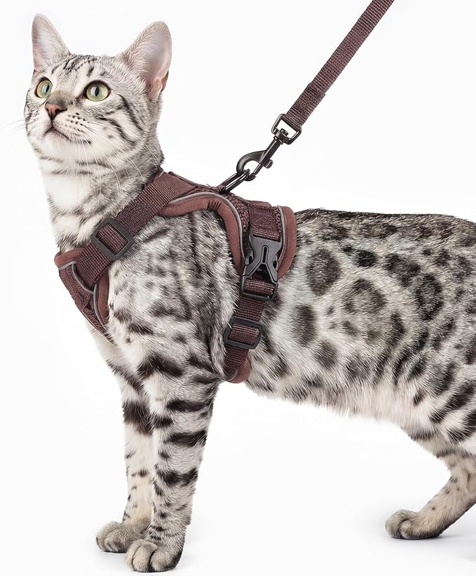 pangdi Cat Harness and Leash Set Escape Proof Tactical Medium Kitten Harness Emotional Support Cat Vest, Brown, M