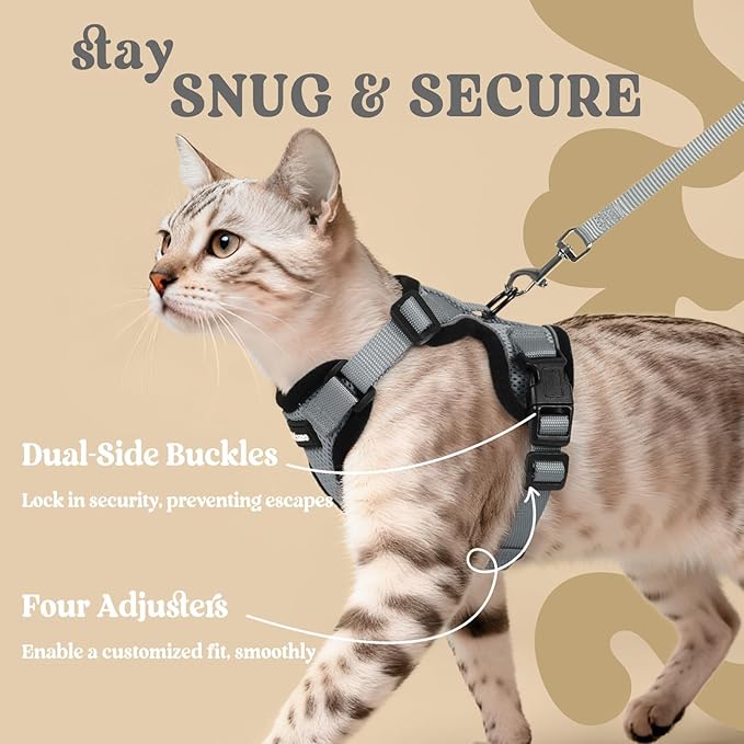 rabbitgoo Cat Harness and Leash for Walking, Escape Proof Soft Adjustable Vest Harnesses for Cats, Easy Control Breathable Reflective Strips Jacket, Grey, M