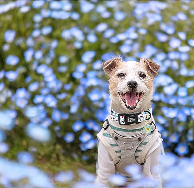 Dog Collar-Cute Flower Adjustable Pet Collars Soft Comfortable Puppy Collar Blue Cotton Dog Collars Durable Necklace Gift for Small Dogs