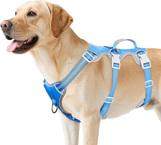 Huntboo Escape Proof Dog Harness, Escape Artist Harness, Reflective Harness with Padded Handle, Breathable, Durable, Adjustable Vest for Medium Dogs Walking, Training, and Running Gear (Blue, L)