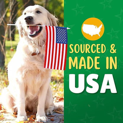 Chicken Chips Dog Treats – Made in USA, All Natural Chicken Jerky Treats, Grain-Free, High Protein, Single Ingredient, Crispy & Healthy Training Snacks for Dogs – 6 oz Jar