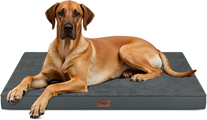 Tail Stories Flat Extra Large Dog Bed, Jumbo Waterproof Dog Bed for Large Dogs, Orthopedic Egg Crate Foam Pet Mat with Removable Washable Cover, Gray