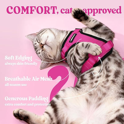 rabbitgoo Cat Harness and Leash for Walking, Escape Proof Soft Adjustable Vest Harnesses for Cats, Easy Control Breathable Reflective Strips Jacket, Rose Red, XS