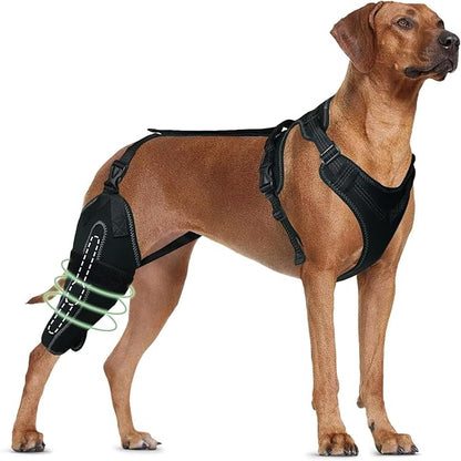 Dog Knee Brace for ACL/CCL Injuries,Torn Ligament,Luxating Patella - Rear Leg Support,Pain Relief,Joint Warmth,Right Legs,Black,Size:M