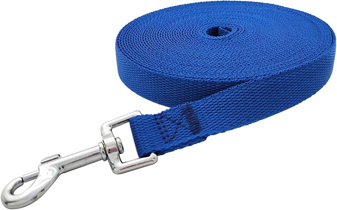 Nylon Training Dog Leash for Small Medium Large Dogs, 15ft 20ft 30ft 50ft Long Leash Dog/Puppy Lead for Obedience Recall Training, Camping (30ft, Blue)