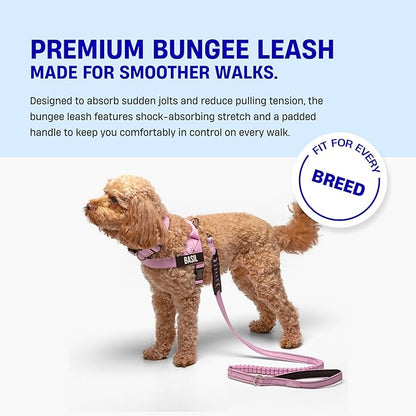 DF Co. Bungee Dog Leash | Strain Free & Shock Resistant for Control | Neoprene Padded Handle, Heavy-Duty Carabiner Clip, and D-Ring | Grey Camo, Size Small