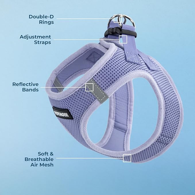 Best Pet Supplies Voyager Step-in Air Harness - All Weather Mesh, Reflective, No Pull Harness for Dogs, Cats - Secure with Hook & Loop Fastener, Buckle, Double D-Rings - Lavender, XXXS
