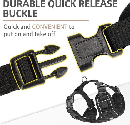 PUPTECK Small Dog Harness and Leash Set, No Pull Adjustable Puppy Cat Harness, Reflective Soft Mesh Pet Vest Small Sized, Black, XS