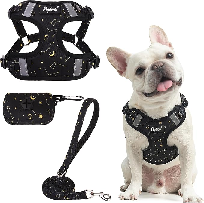 PUPTECK Dog Harness and Leash Set Medium Sized, Step in No Pull Adjustable Puppy Cat Harness Reflective Pet Vest