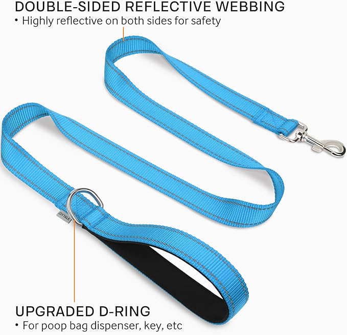 Joytale Double-Sided Reflective Dog Leash, 6 FT/5 FT/4 FT, Padded Handle Nylon Heavy Duty Leashes for Medium & Large Dogs Walking, Sky Blue, 5FT