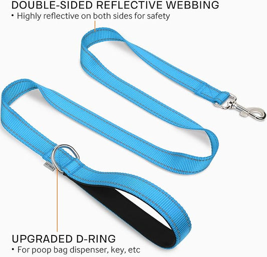Joytale Double-Sided Reflective Dog Leash, 6 FT/5 FT/4 FT, Padded Handle Nylon Heavy Duty Leashes for Small & Medium Dogs Walking, Sky Blue, 5FT