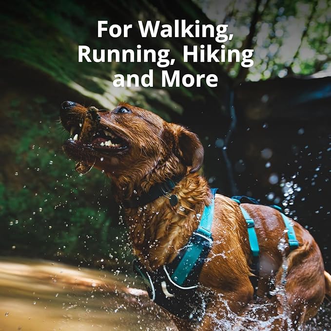 Ruffwear, Flagline Dog Harness, Lightweight and Reflective, No Pull Dog Lift Harness for Hiking, Running and Everyday Use, Basalt Gray, X-Small